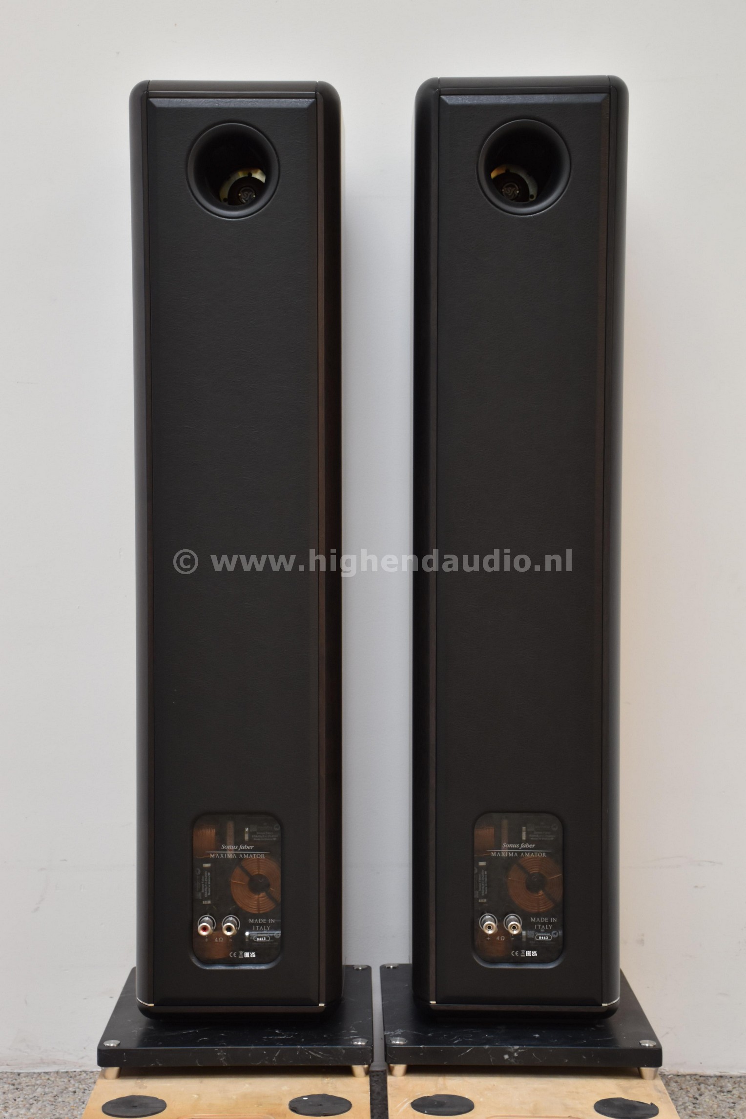 SF-MaximaAmator-463-back_wm